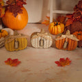 Autumn Knitted Effect Pumpkin Ornament *** PRE-ORDER ***