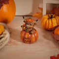 Hello Pumpkin Highland Cow *** PRE-ORDER ***