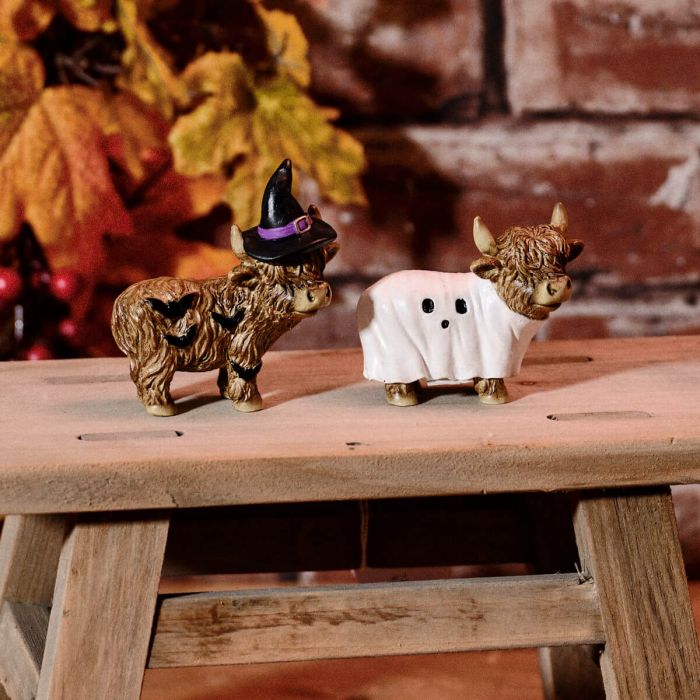 Spooktacular Halloween Highland Cows Witch Ghost