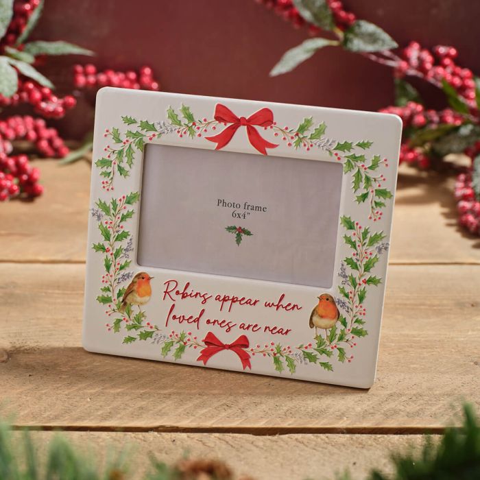 2nds Ceramic Robin Frame