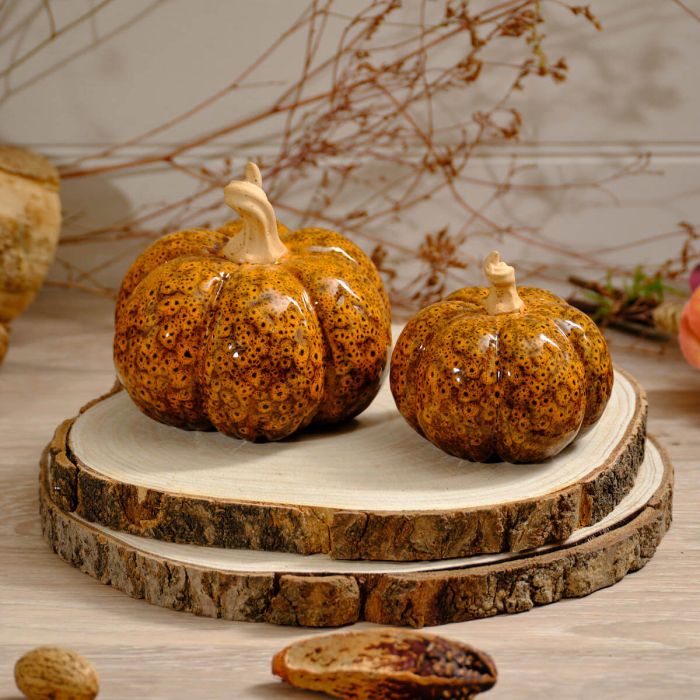 Autumn Mottled Pumpkins - Pair PRE-ORDER