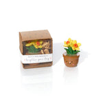 Tiny World Daffodil Plant Pot Keepsake