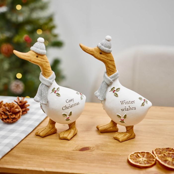 Holly Christmas Ducks