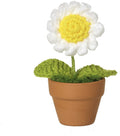 Artificial Daisy in Terracotta Planter