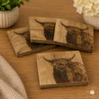 Highland Cow Coasters - Set Of 4