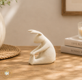 White Rabbit Touch Their Toes - Yoga / Pilates