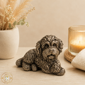 Bronze Cockapoo Lying