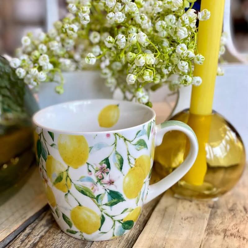 Lemon Grove Breakfast Mug