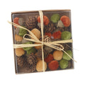 Autumn Acorns And Pinecones Set - Orange & Green