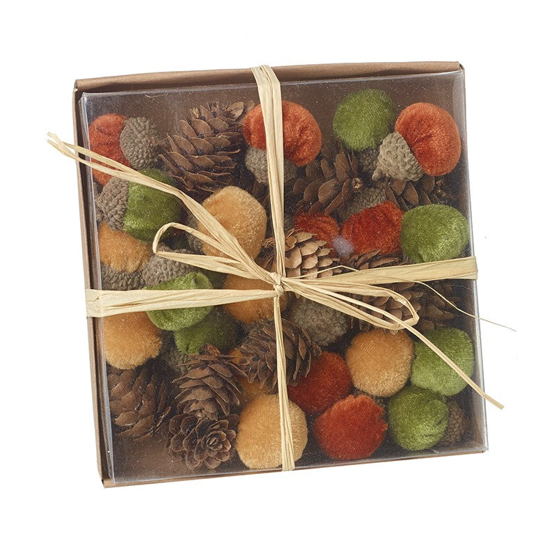 Autumn Acorns And Pinecones Set