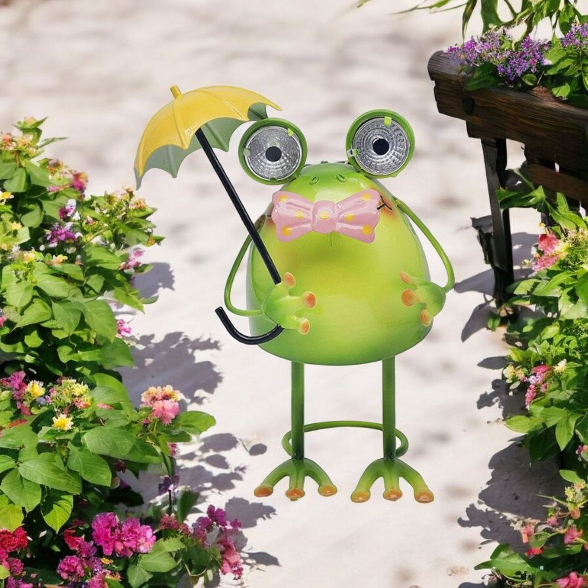 Bright Eyes Frog Solar LED