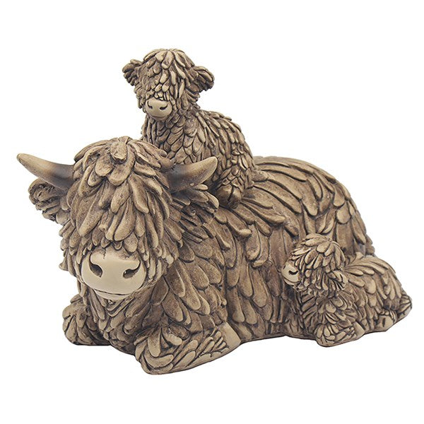 Hugo The Highland Cow With Two Calfs