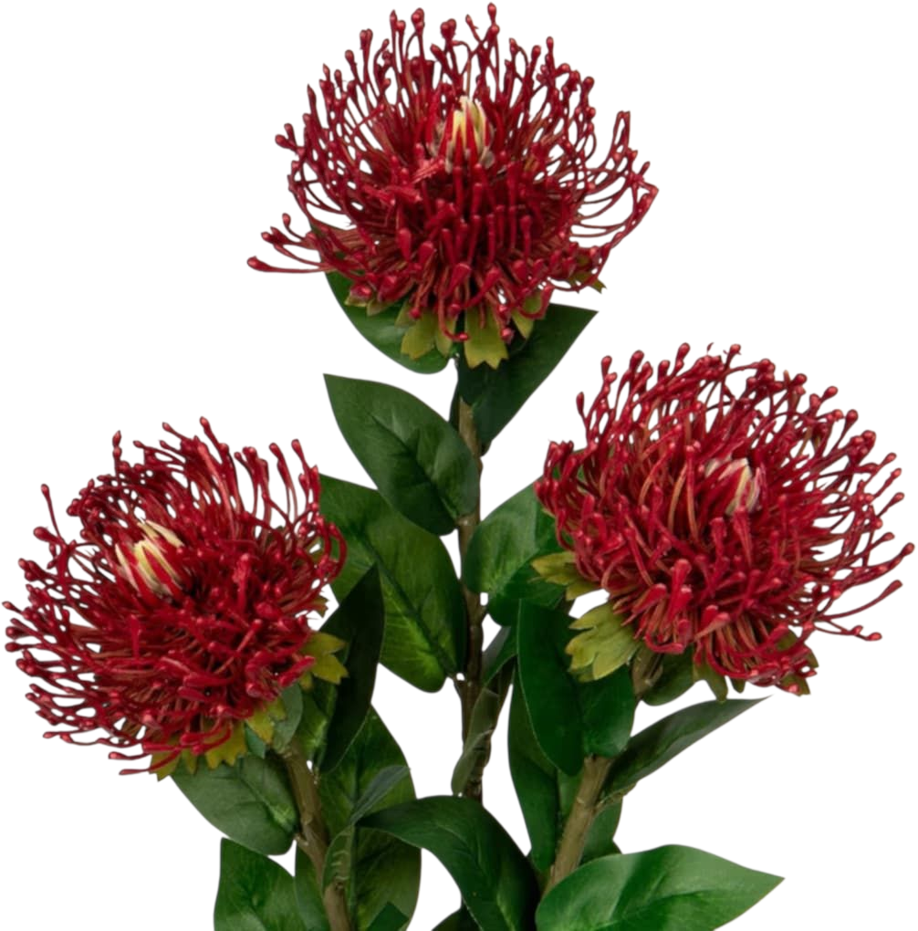 Pincushion Exotic Artificial Flower Dark Red Leucospermum Protea