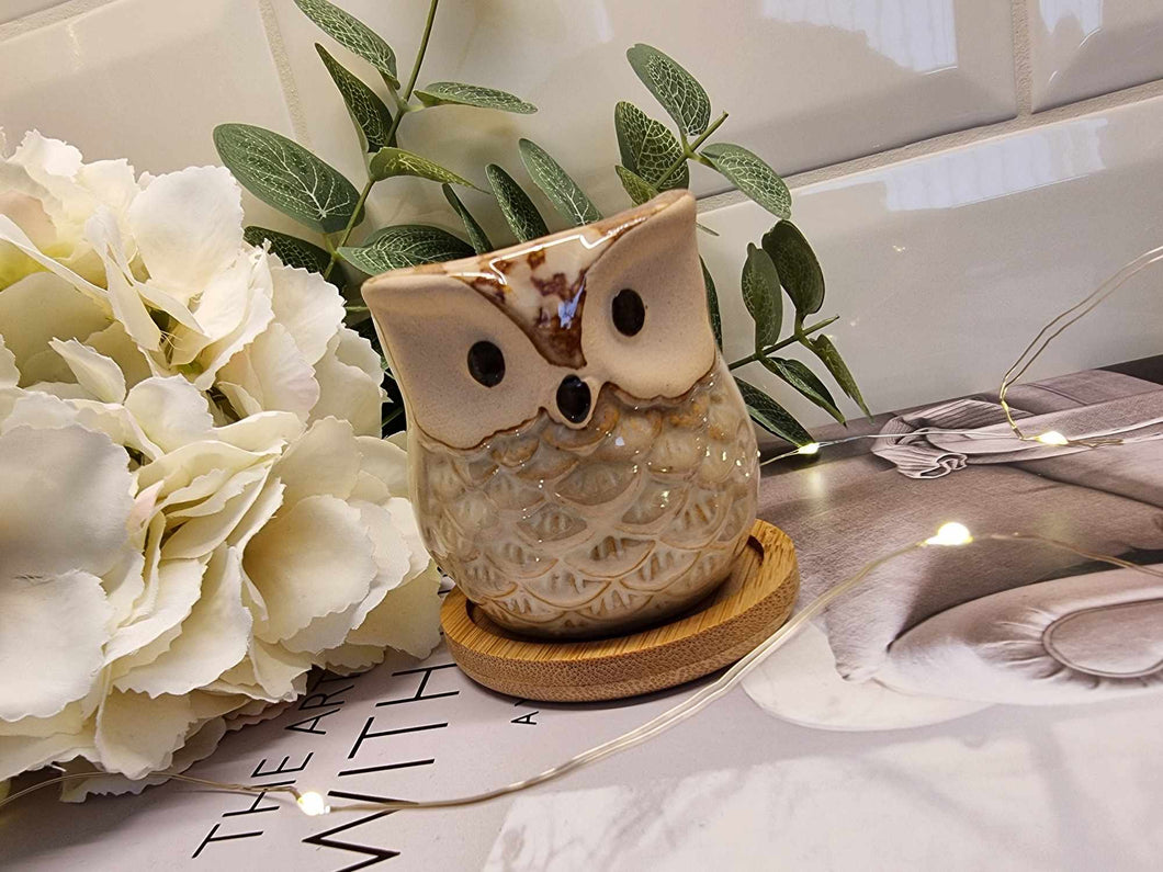 Owl Plant Pot