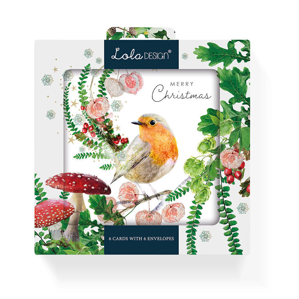 Winter Robin Christmas Card - Box Set of 6 Cards