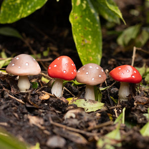 Mushroom Plant Pot Pals - Set of 4