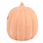 22cm XL Terracotta Pumpkin Ornament