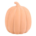 22cm XL Terracotta Pumpkin Ornament