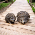 Garden Hedgehogs - Pair