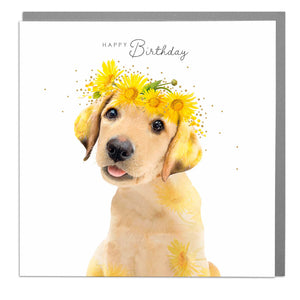 Happy Birthday Golden Labrador Card .