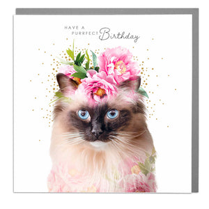 Puurfect Happy Birthday Card - Rag Doll Cat .