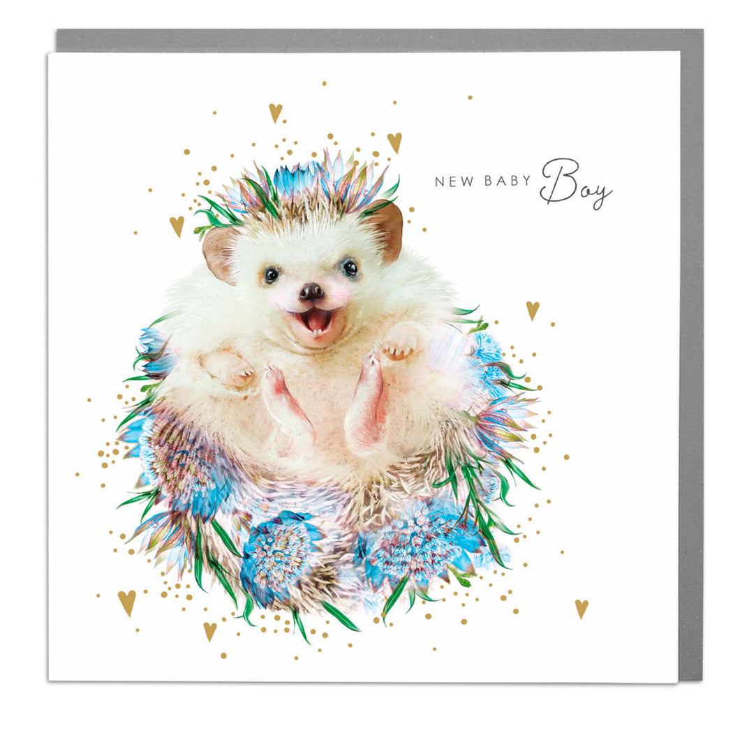 New Baby Boy Hedgehog Card .