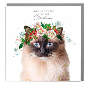 Purrfect Christmas - Rag Doll Cat- Christmas Card .