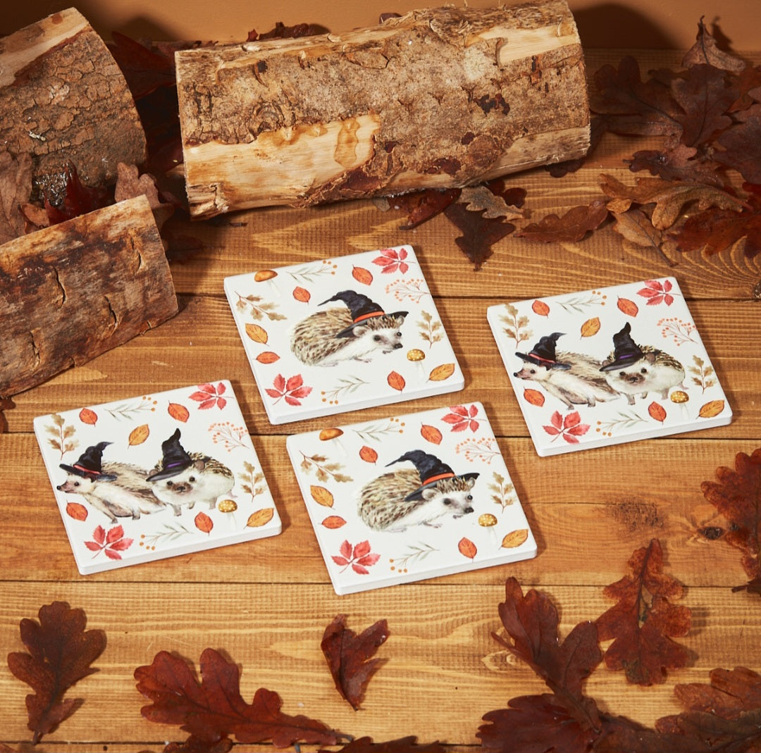 Autumn Witchy Hedgehog Coasters