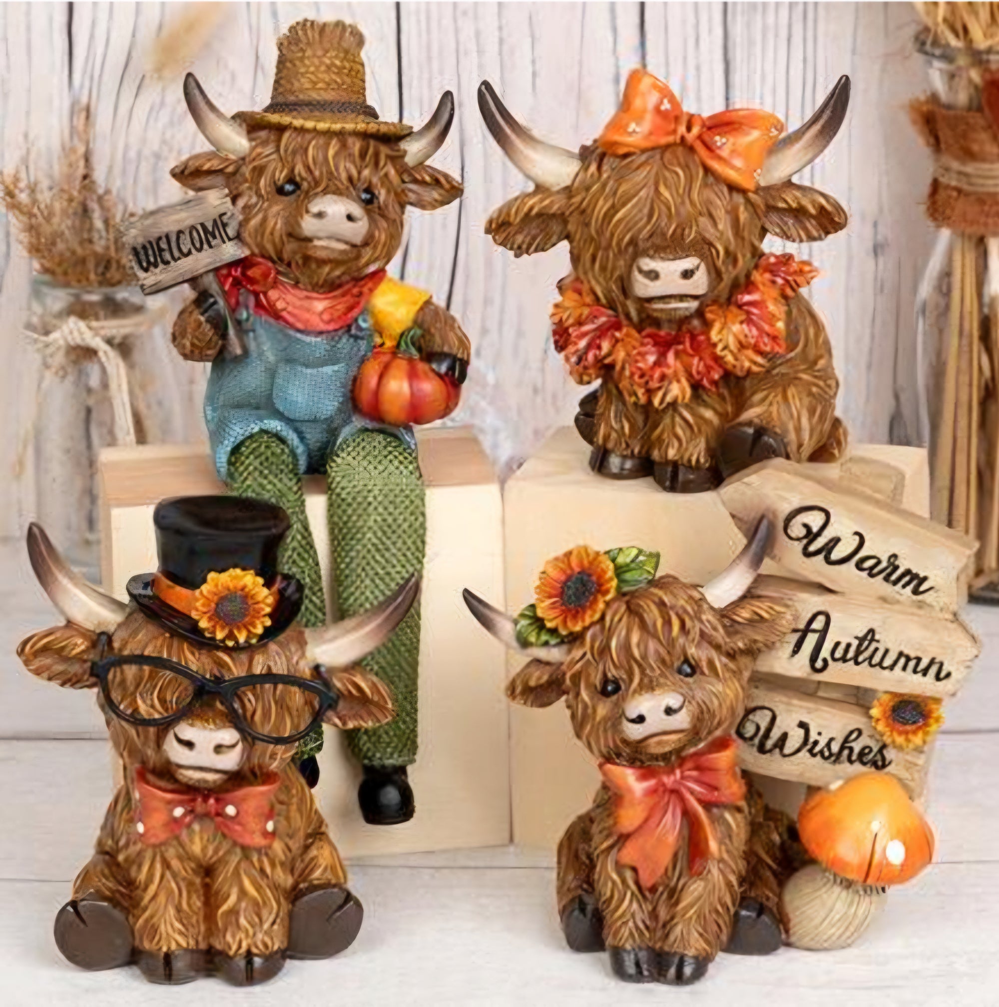 Autumn Highland Cows 🍂 8 To Choose From
