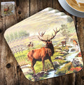 Highland Stag Set of 4 Coasters