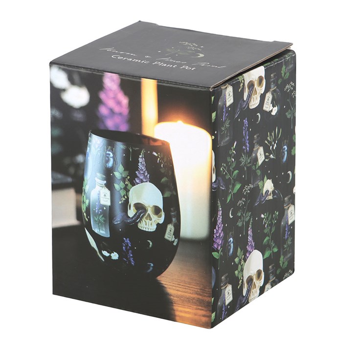 Venum & Vines Stemless Glass
