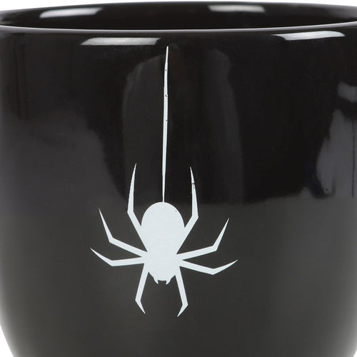 Black Spider Mug