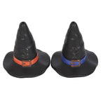 Witch Hat Salt & Pepper Shakers