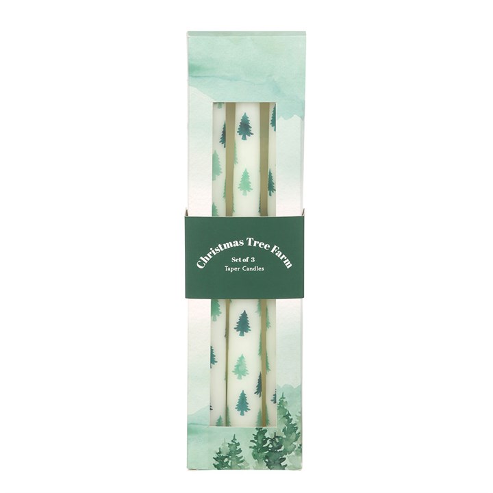 Set of 3 White & Green Fir Tree Candles
