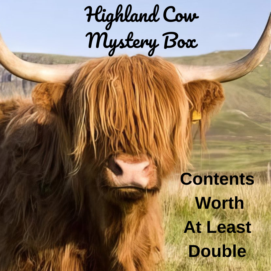 HIGHLAND COW MYSTERY BOX 🤎