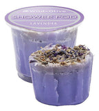 Wild Olive Lavender Collection Gift Tin