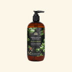 The English Soap Company - Christmas Tidings Frosted Fir and Holly Hand and Body Wash