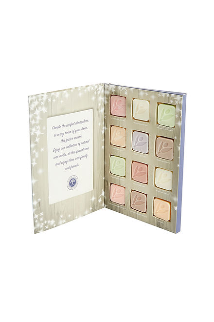 Christmas Book of Wax Melts