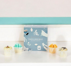 Gift Set - 4 Luxury Bath Melts - Wellbeing