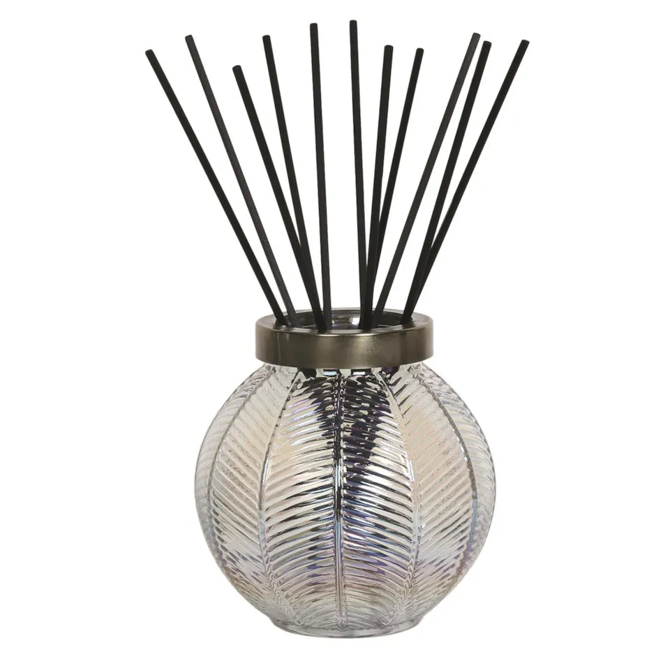 Large Glass Reed Diffuser Bottle & 50 Fibre Reeds - Clear Lustre