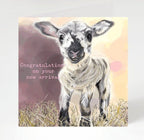 Congratulations On Your New Arrival Baby Girl Card Lamb