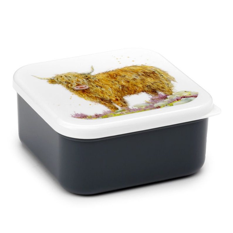 Highland Cow Set Of 3 Snack Boxes - Jan Pashley