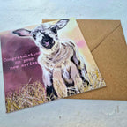 Congratulations On Your New Arrival Baby Girl Card Lamb