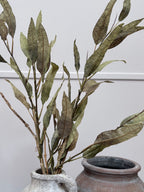 Vintage Slim Leaf Branch Sage Green