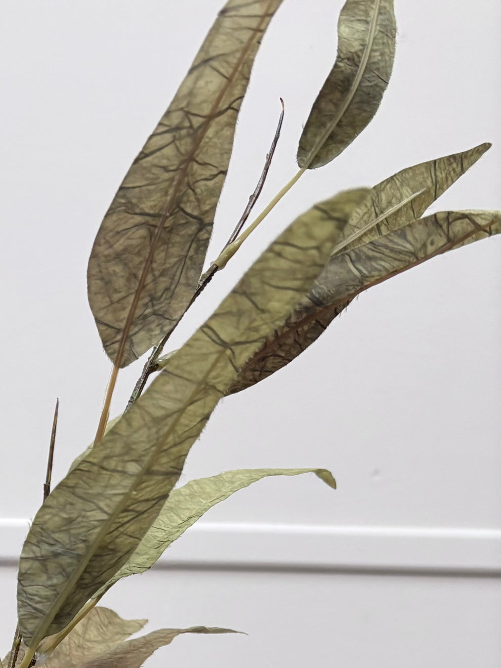 Vintage Slim Leaf Branch Sage Green