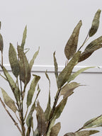 Vintage Slim Leaf Branch Sage Green