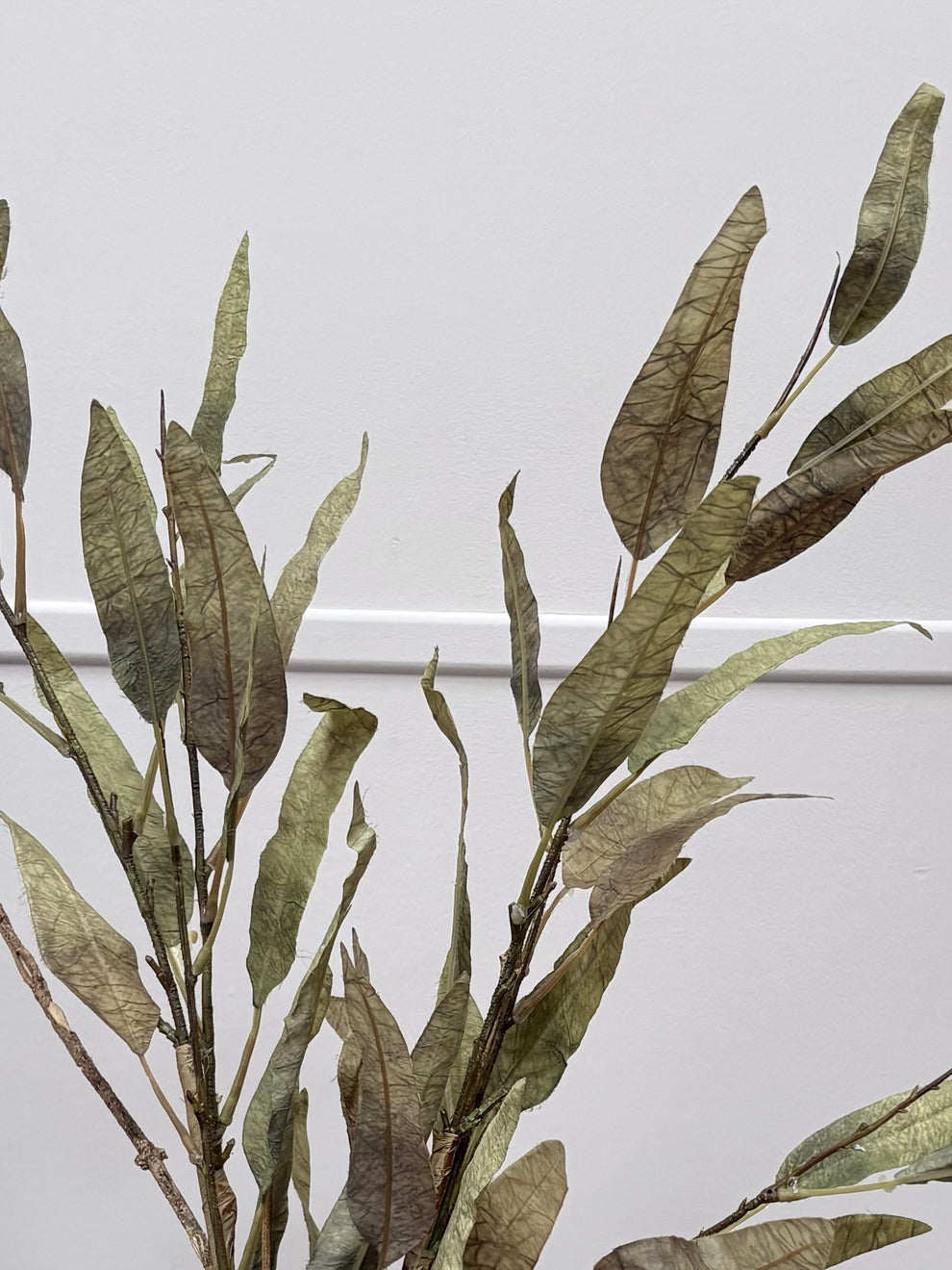 Vintage Slim Leaf Branch Sage Green