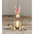Joe The Bunny Rabbit