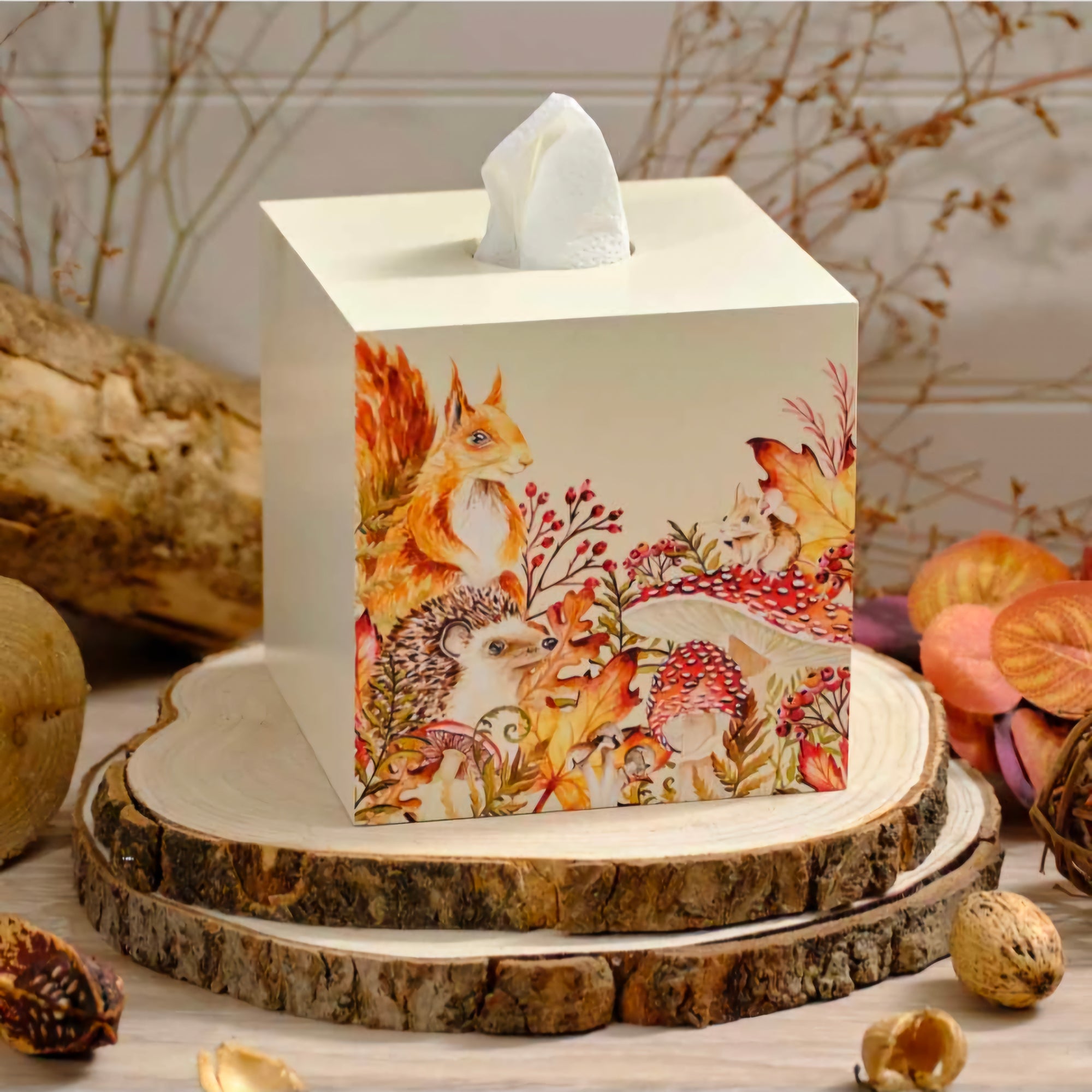 Toadstool Tales Autumn Wooden Square Tissue Box