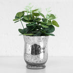 Faux Eucalyptus In Silver Pot